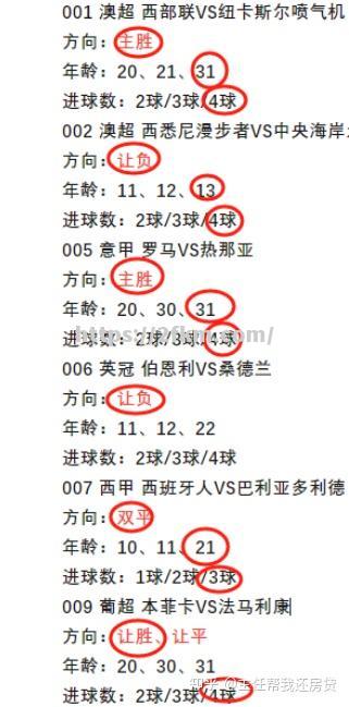 沃尔夫斯堡逆转胜出，反超对手获胜